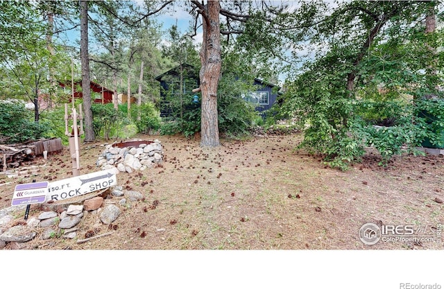 30 Falls Creek Dr, Bellvue, CO 80512 - view of yard