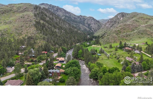30 Falls Creek Dr, Bellvue, CO 80512 - mountain view