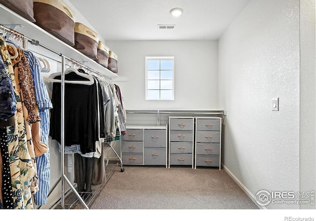 563 Green Mountain Dr, Erie, CO 80516 - photo 25