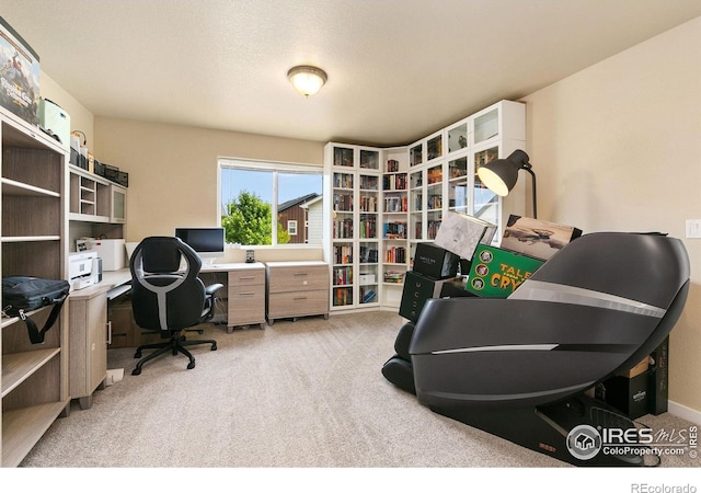 3001 Nebula Ct, Loveland, CO 80537 - home office with light colored carpet