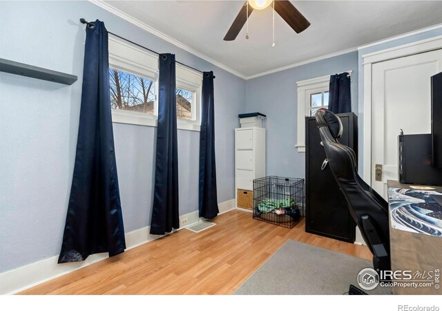 1417 14th St, Greeley, CO 80631 - office space featuring light wood-style floors, a ceiling fan, and crown molding