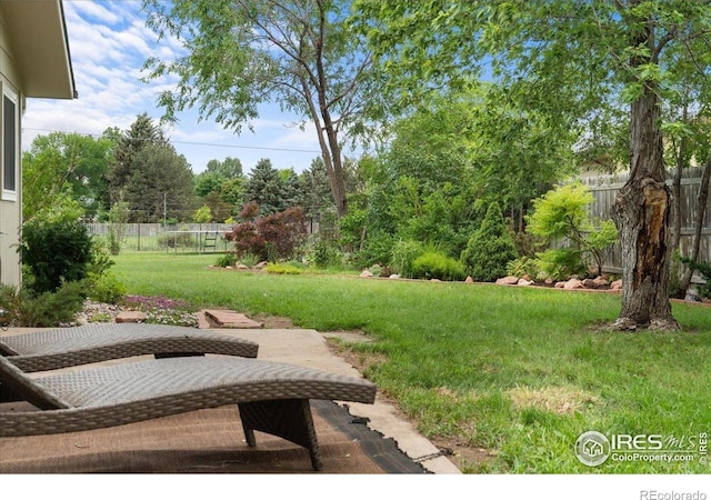 3421 Surrey Ln, Fort Collins, CO 80524 - view of yard