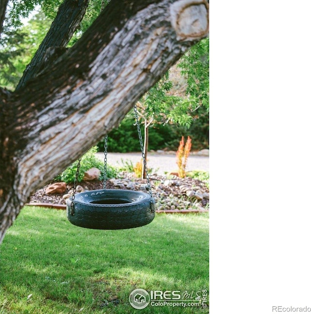 3421 Surrey Ln, Fort Collins, CO 80524 - view of green lawn