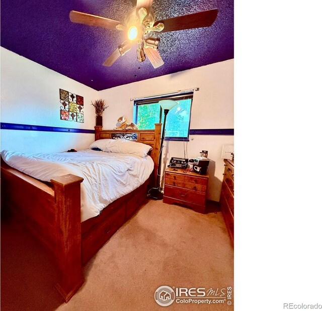 309 4th St, Pierce, CO 80650 - photo 5