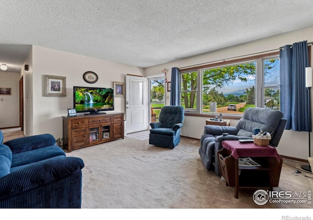 2110 Charro Ave, Longmont, CO 80504 - living area with carpet and a textured ceiling