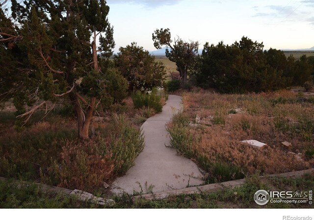 4430 County Road 121, Walsenburg, CO 81089 - photo 7