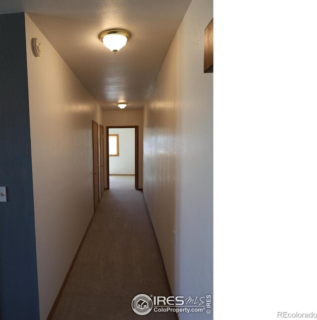 4430 County Road 121, Walsenburg, CO 81089 - photo 38