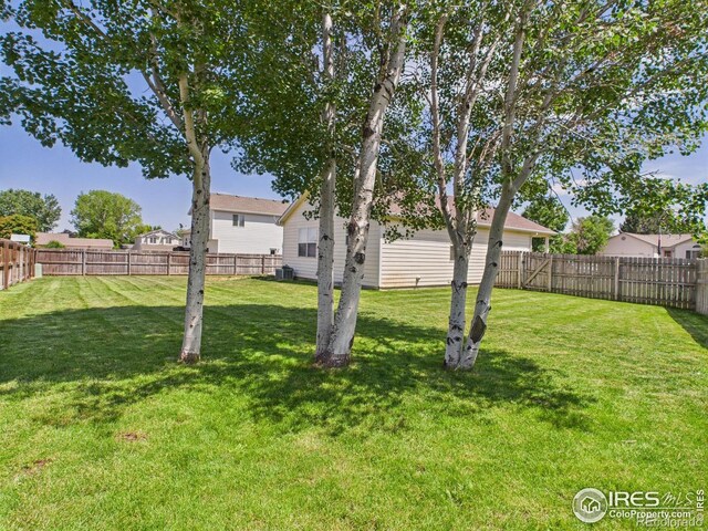 3203 Mariners Landing Dr, Evans, CO 80620 - photo 36