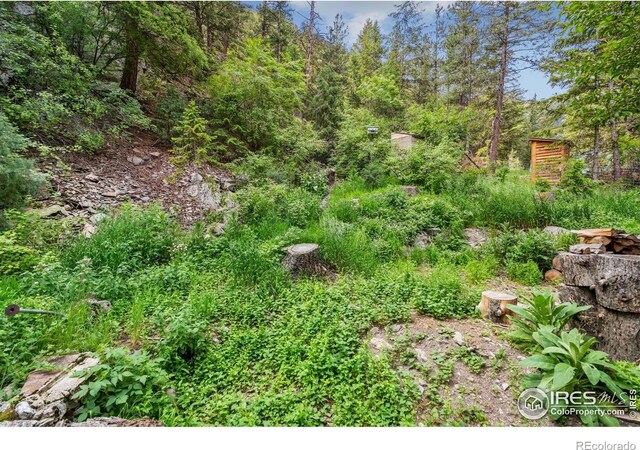 200 Waltonia River Ct, Drake, CO 80515 - photo 23