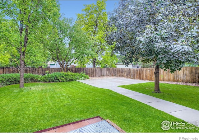 2912 Worthington Ave, Fort Collins, CO 80526 - fenced backyard with a patio