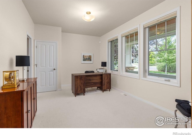 1231 Hawk Ridge Rd, Lafayette, CO 80026 - office area with carpet flooring and baseboards