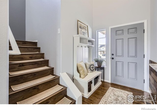 189 Kitty Hawk Ct, Windsor, CO 80550