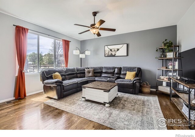 189 Kitty Hawk Ct, Windsor, CO 80550