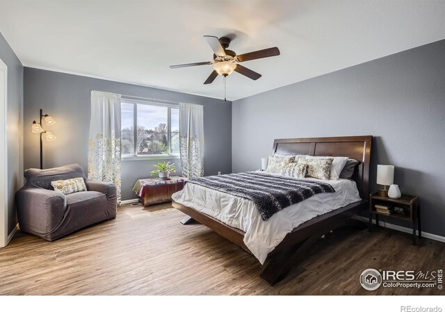 189 Kitty Hawk Ct, Windsor, CO 80550