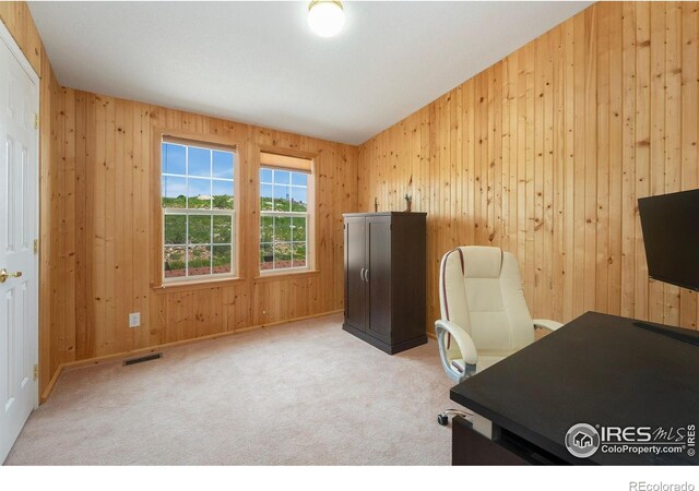 132 Singing Pines Ct, Livermore, CO 80536 - photo 26