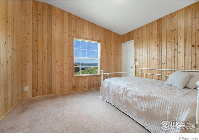 132 Singing Pines Ct, Livermore, CO 80536 - photo 29