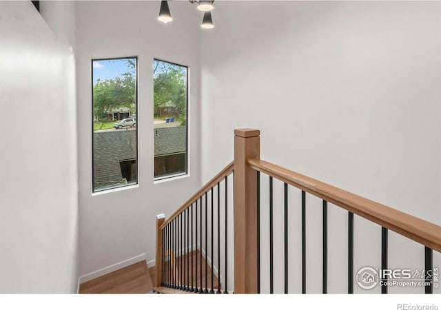 2009 18th Ave, Greeley, CO 80631 - stairs with wood finished floors and baseboards