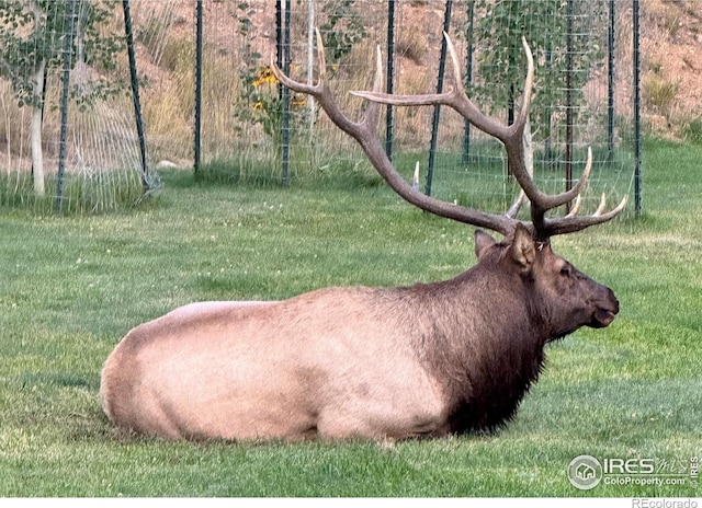 507 Fall River Ln Unit A, Estes Park, CO 80517