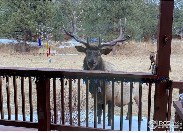 507 Fall River Ln Unit A, Estes Park, CO 80517