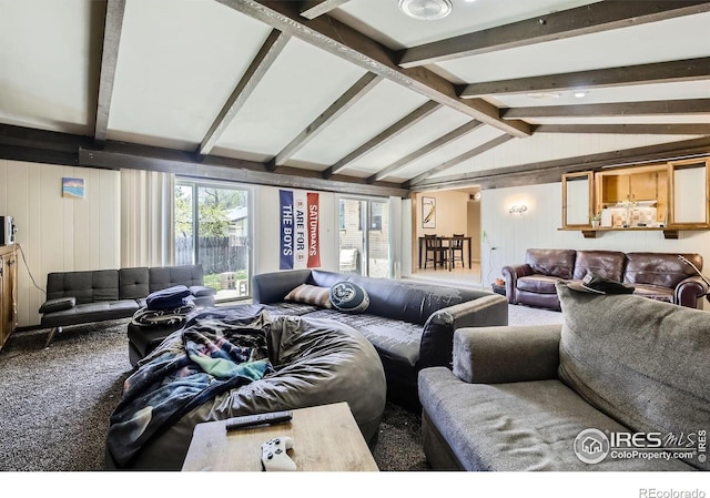 1036 Meadowbrook Dr, Fort Collins, CO 80521 - view of carpeted living area