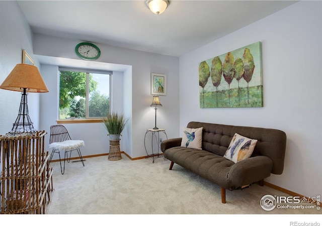 1620 Oak Ave, Boulder, CO 80304 - carpeted living room with baseboards