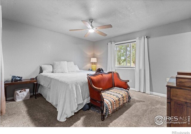 4019 Burr Oak Dr, Loveland, CO 80538 - photo 14