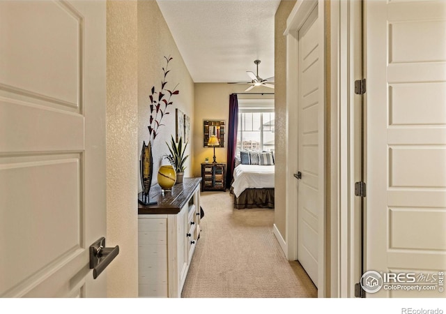 1963 Blue Yonder Way, Fort Collins, CO 80525 - corridor with light carpet
