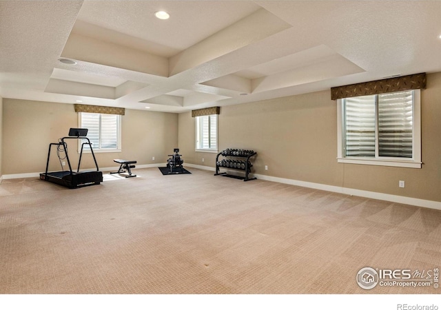 1963 Blue Yonder Way, Fort Collins, CO 80525 - workout area with carpet, recessed lighting, and a tray ceiling