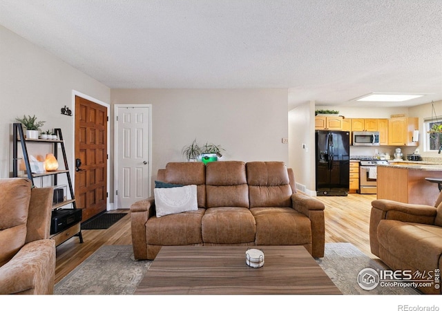 1607 Rushmore Dr, Colorado Springs, CO 80910 - living area with light wood-style flooring and a textured ceiling
