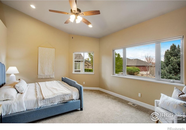 965 Norway Maple Dr, Loveland, CO 80538 - photo 31