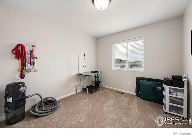 2017 Pioneer Dr, Milliken, CO 80543 - photo 23