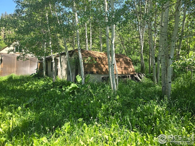 20881 Buckhorn Rd, Bellvue, CO 80512 - view of yard
