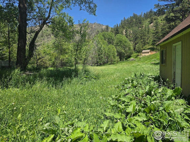 20881 Buckhorn Rd, Bellvue, CO 80512 - view of yard featuring a view of trees