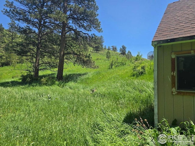 20881 Buckhorn Rd, Bellvue, CO 80512 - view of yard