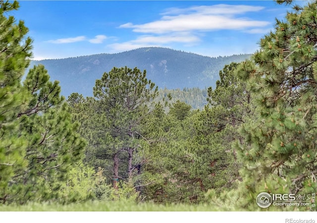 849 Mountain Meadows Rd, Boulder, CO 80302 - view of mountain background featuring a heavily wooded area