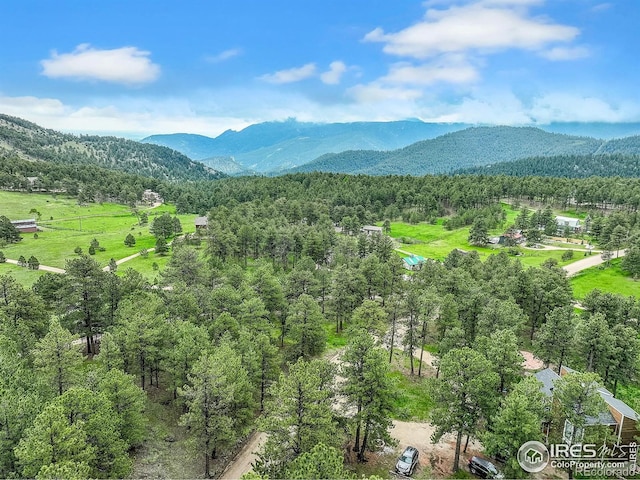 849 Mountain Meadows Rd, Boulder, CO 80302 - view of mountain backdrop with a forest