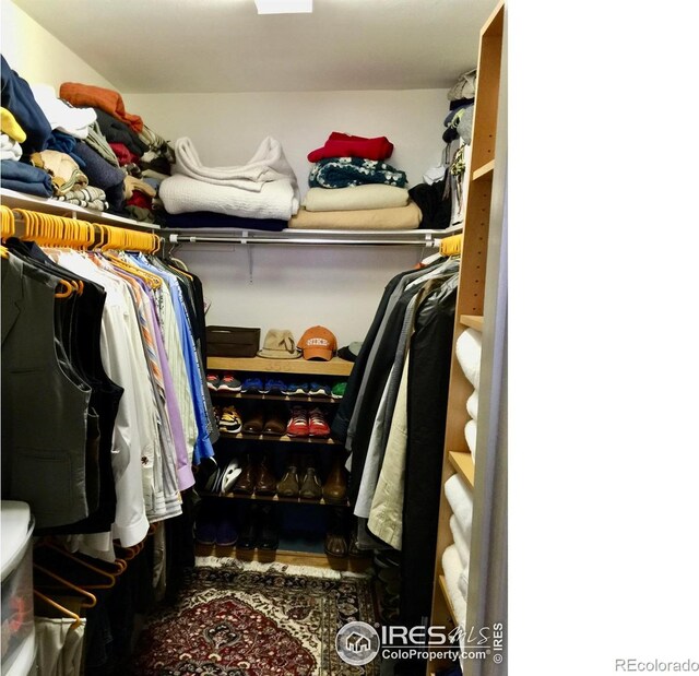 1624 Bradley Ct, Boulder, CO 80305 - view of walk in closet