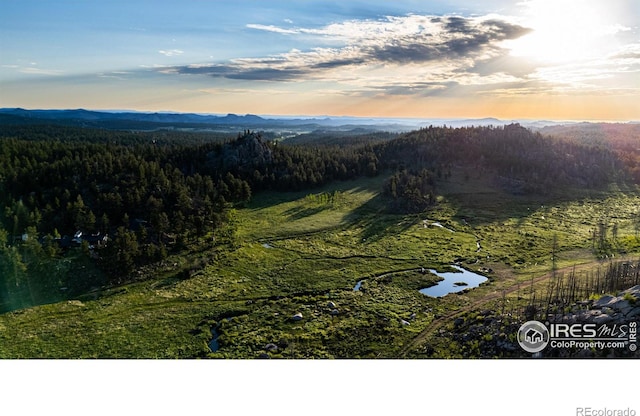 6730 County Road 69, Red Feather Lakes, CO 80545 - photo 5