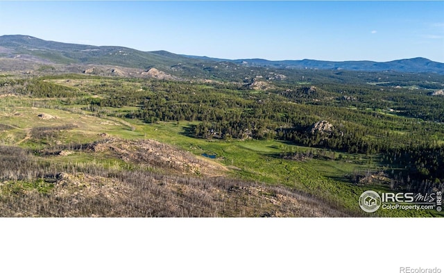 6730 County Road 69, Red Feather Lakes, CO 80545 - photo 33