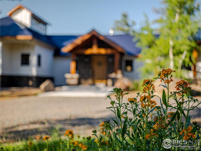 6730 County Road 69, Red Feather Lakes, CO 80545 - photo 34