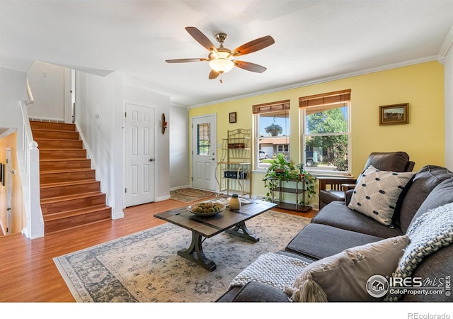 109 Sunflower Dr, Windsor, CO 80550 - living room with plenty of natural light, ornamental molding, ceiling fan, wood finished floors, and stairway