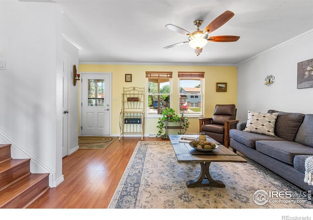 109 Sunflower Dr, Windsor, CO 80550 - living area featuring wood finished floors, a ceiling fan, ornamental molding, and stairway