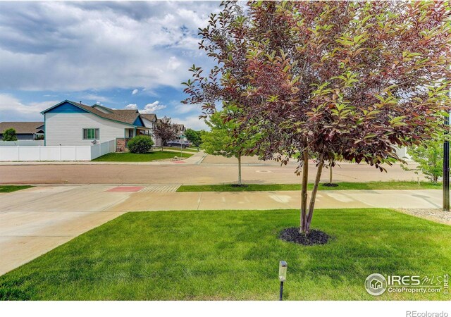 4171 Front Stretch Dr, Wellington, CO 80549