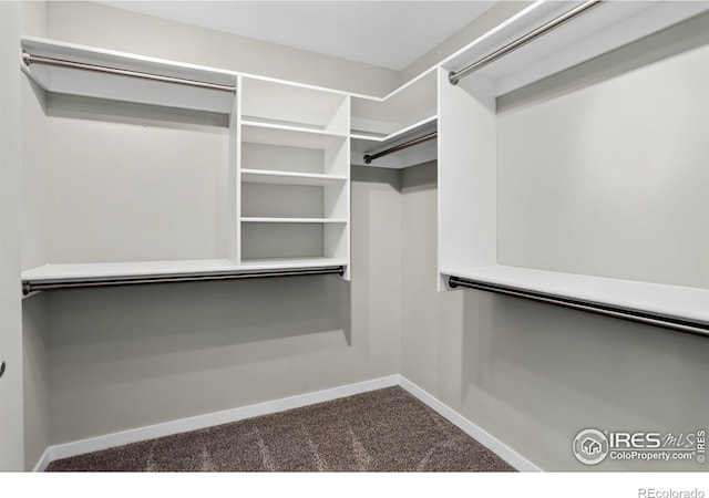 3601 Arapahoe Ave Unit 304, Boulder, CO 80303 - spacious closet featuring dark colored carpet