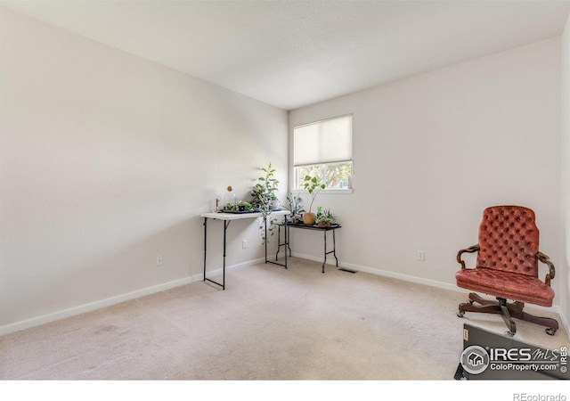 232 Ricker Ln, Johnstown, CO 80534 - living area with carpet flooring