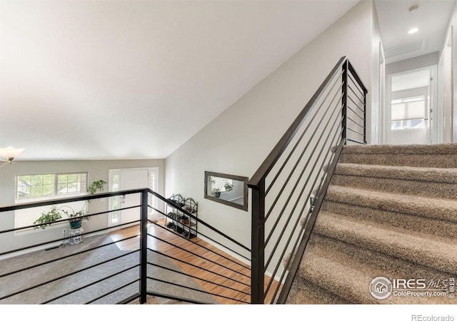 232 Ricker Ln, Johnstown, CO 80534 - stairway with wood finished floors