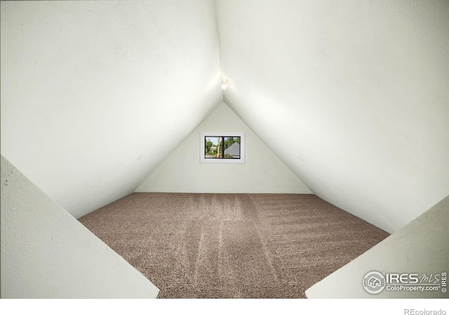 311 12th Ave, Greeley, CO 80631 - additional living space with vaulted ceiling and carpet floors