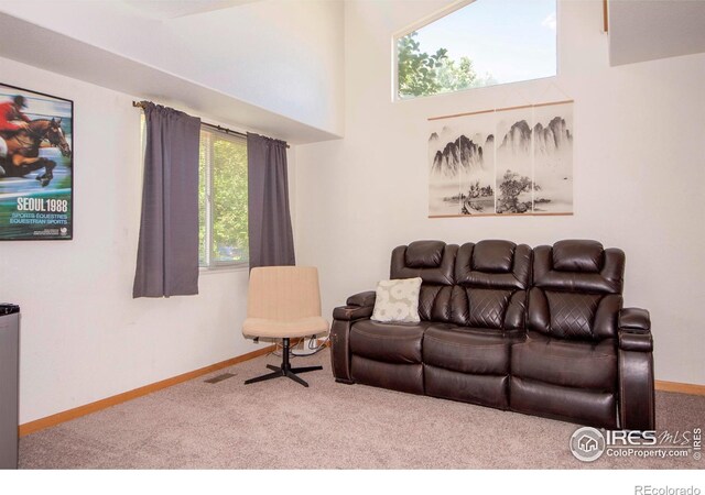 1061 Tierra Ln, Fort Collins, CO 80521 - photo 5