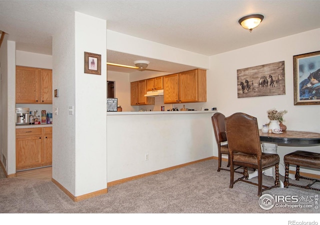 1061 Tierra Ln, Fort Collins, CO 80521 - photo 7