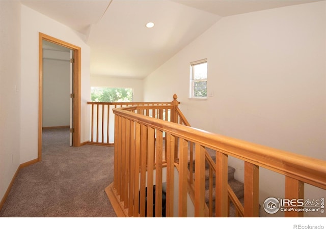 1061 Tierra Ln, Fort Collins, CO 80521 - photo 12